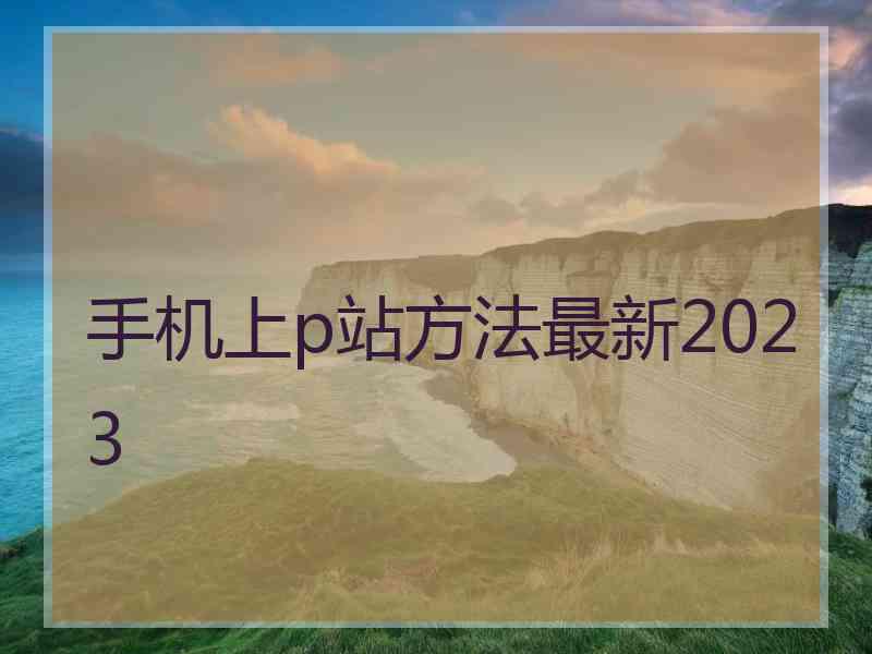 手机上p站方法最新2023