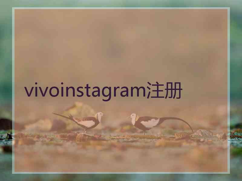 vivoinstagram注册