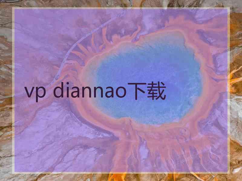 vp diannao下载