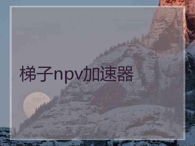 梯子npv加速器