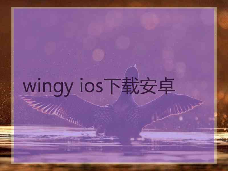 wingy ios下载安卓