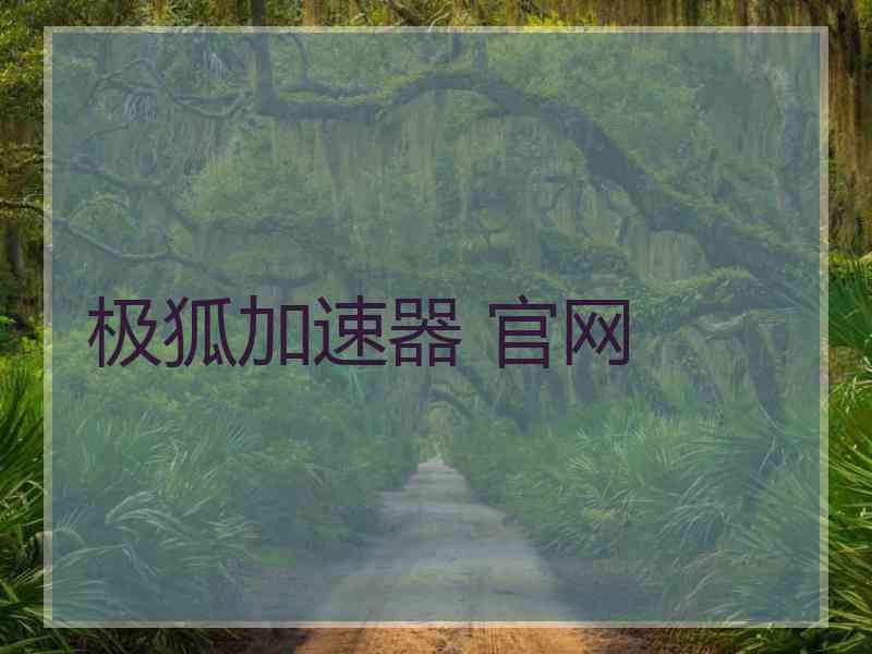 极狐加速器 官网