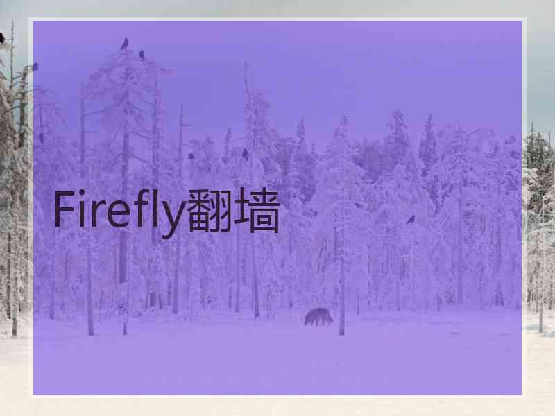 Firefly翻墙