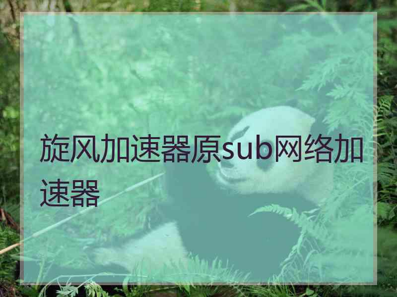 旋风加速器原sub网络加速器