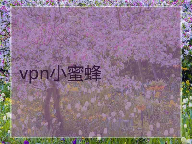 vpn小蜜蜂