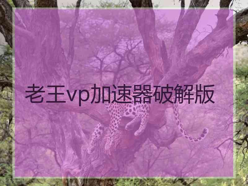 老王vp加速器破解版